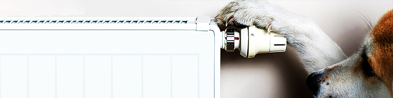 Où placer un radiateur dans son habitation